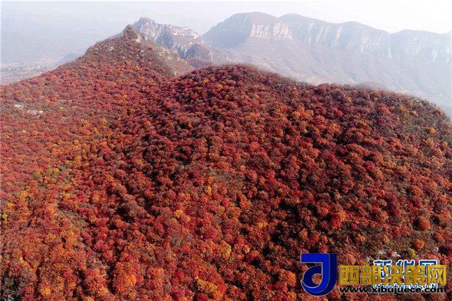 1509066978519221.jpg 6.jpg