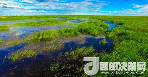 呼倫湖濕地。吳勇攝