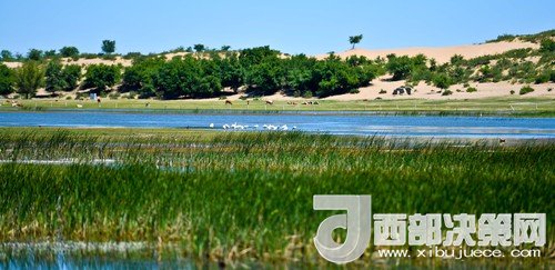 阿魯科爾沁保護區(qū)濕地沙丘。吳勇攝