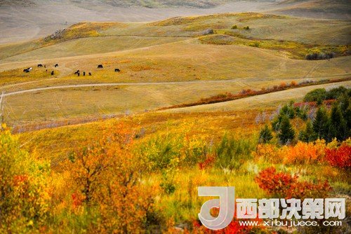 錫林郭勒草原國家級自然保護區(qū)。吳勇攝