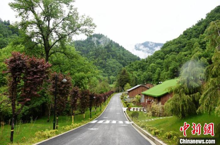 九寨溝熊貓園外景?！【耪瘻峡h委宣傳部提供 攝