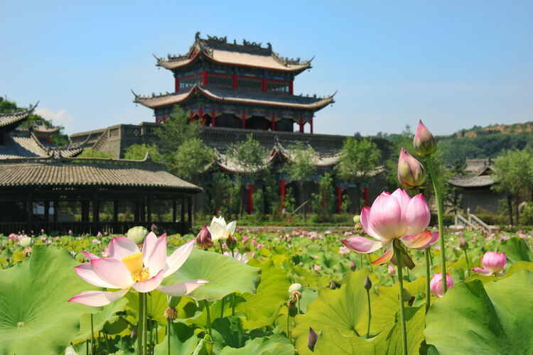 【云游渭南】心中若有桃花源，此處便是水云間！待疫情散盡，一起來渭南桃花源賞美景、觀民俗、享美食_fororder_2
